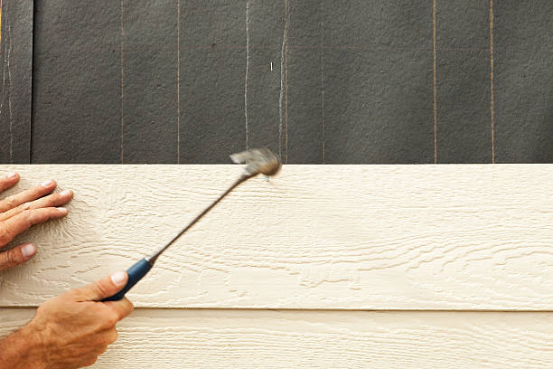 Best Engineered Wood Siding  in Prescott Valley, AZ
